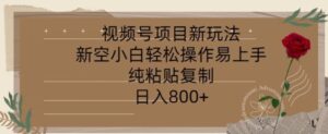 视频号项目，新玩法新空小白轻松操作易上手，纯粘贴复制，日入几张-网创资源