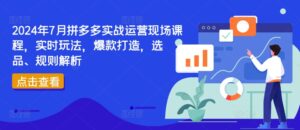 2024年7月拼多多平台实战演练经营当场课程内容，即时游戏玩法，爆款打造，选款、标准分析-网创资源