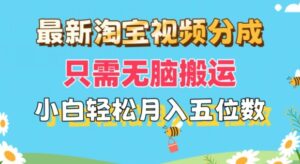 全新淘宝视频分为，仅需没脑子运送，新手都可以轻松月入五位数，可引流矩阵批量处理-网创资源
