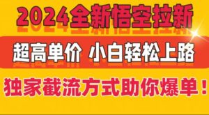 2024全新升级孙悟空引流，极高价格，独家代理截留方法帮助你打造爆款，新手快速上手-网创资源