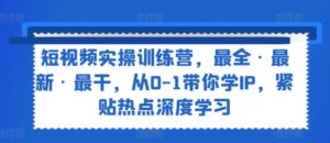 小视频实操训练营，最齐·全新·最干，从0-1陪你学IP，紧靠网络热点深度神经网络-网创资源