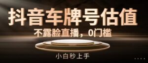 抖音车型号公司估值，不露脸直播，0门坎，新手秒入门【揭密】-网创资源