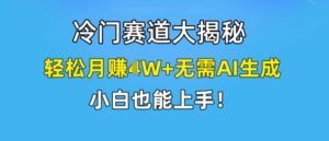 小众跑道大曝光，轻轻松松月赚1W 不用AI形成，新手也可以入门【揭密】-网创资源