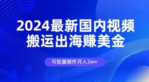 2024全新中国视频搬运出航赚美金，可批量处理月入3w-网创资源