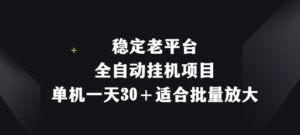 平稳老平台，全自动挂机新项目，单机版一天30 适宜大批量变大-网创资源