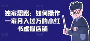 独家代理构思：怎么操作一家月入了万的小红书虚拟店铺-网创资源