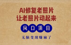 全新蓝海项目，AI一键修复旧照片，让老照片动起来，接单子到手软，没脑子转现赚麻木了-网创资源