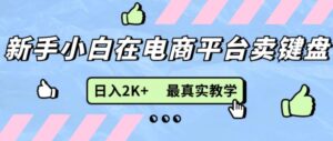 全新无货源电商0成本费电子商务，新手入门能做，后面帮扶打满，细腻课堂教学-网创资源