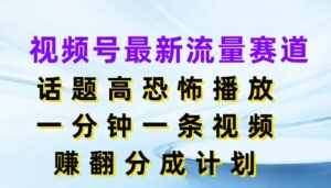 视频号最新流量赛道，话题高恐怖播放，一分钟一天视频，赚翻分成计划-网创资源