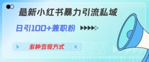 最新小红书暴力引流私域玩法，日引100+兼职粉，多种变现方式-网创资源