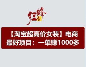 淘宝超高价女装项目，电商最好赛道，一单赚1000多-网创资源