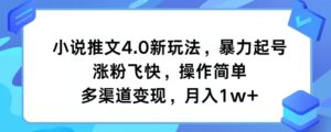 小说推文4.0新玩法，暴力起号，涨粉飞快，操作简单，多渠道变现，月入1w+-网创资源
