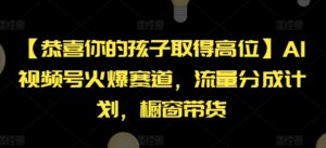【恭喜你的孩子取得高位】AI视频号火爆赛道，流量分成计划，橱窗带货【揭秘】-网创资源