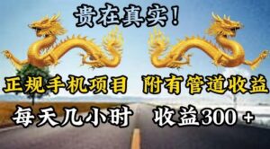 靠谱手机项目，附带丰富多样的管道收益，每日几个小时，盈利300-网创资源