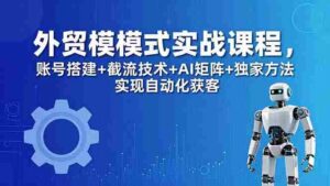 （18367期）外贸新模式实战课程-更新5月，账号搭建+截流技术+AI矩阵+独家方法实现自动化获客-网创资源