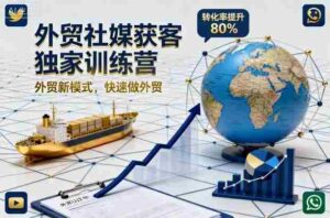 外贸社媒获客独家训练营，外贸新模式，快速做外贸（更新26年4月）-网创资源