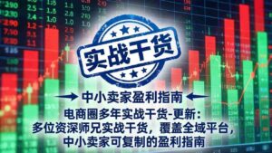 (18398期)电商圈多年实战干货-更新5月10:多位资深师兄实战干货/覆盖全域平台,中小卖家可复制的盈利指南-网创资源