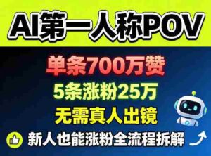 AI第一人称POV，单条700W赞，5条涨粉25W，无需真人出镜，新人也能涨粉全流程拆解-网创资源