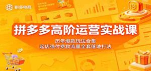 拼多多高阶运营实战课:历年爆款玩法合集,起店强付费救流量全套落地打法-网创资源