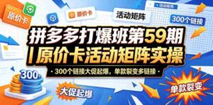 拼多多打爆班第59期|原价卡活动矩阵实操,300个链接大促起爆,单款裂变多链接-网创资源