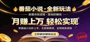 番茄小说5月最新独家玩法,稳定落地实测月入过万!-网创资源