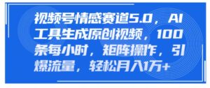 微信视频号情绪跑道5.0,AI手机软件形成原创短视频,100条一小时,引流矩阵实际操作,引爆流量-网创资源