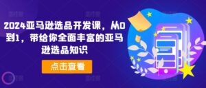 2024亚马逊选品开发设计课，从0到1，带给您全方位丰富多样的亚马逊选品专业知识-网创资源