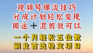 微信视频号爆流方法,分为方案轻轻松松转现,运送 剪辑就能,一个月轻轻松松五位数平稳新项目【揭密】-网创资源