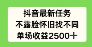 抖音最新每日任务，不露脸复古找不同游戏，场均盈利2.5k【揭密】-网创资源