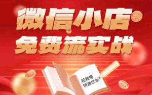 微信小店免费流实战，有货源无货源双模式，从开店到爆单全实操课，小白也能月入1W+-网创资源