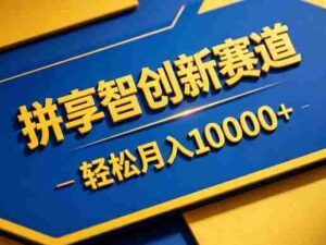 拼享智创新赛道，轻松月入1W+，门槛极低、收益稳定、可长期放大的轻资产项目【揭秘】-网创资源