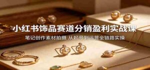 小红书饰品赛道分销盈利实战课:笔记创作素材拍摄,从起号到运营全链路实操-网创资源