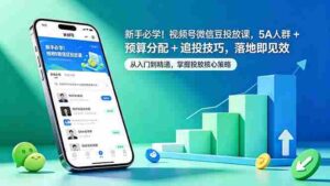 (18470期)新手必学!视频号微信豆投放课,5A 人群 + 预算分配 + 追投技巧,落地即见效-网创资源
