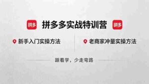 (18468期)拼多多实战特训营(更新5月15):不管是新手入门或老商家冲量,都有实操方法,跟着学,少走弯路-网创资源