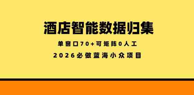 酒店智能数据归集,小众蓝海已经稳定半年之久,单窗口70+零成本矩阵开干【揭秘】