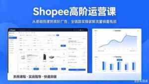 (18499期)Shopee高阶运营课-2026年5月更新,从基础搭建到高阶广告,全链路实操破解流量销量瓶颈-网创资源