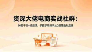 (18529期)资深大佬电商实战社群:30篇干货+视频课,手把手带新手从0搭建盈利店铺-网创资源