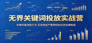 无界关键词投放实战营:多套权重适配打法,实测高投产案例轻松拉高店铺收益-网创资源