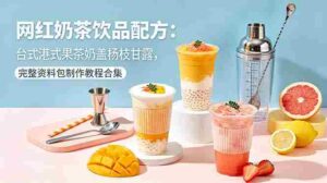 (18557期)网红奶茶饮品配方:台式港式果茶奶盖杨枝甘露,完整资料包制作教程合集-网创资源