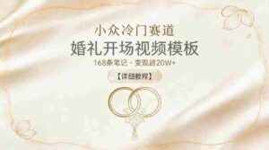 小众冷门赛道,婚礼开场视频模板,168条笔记,变现超20W+【详细教程】-网创资源