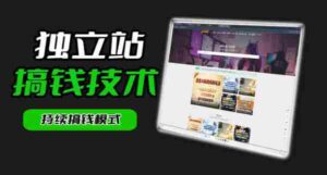 干货来袭!麦子甜带你吃透独立站|从搭建到引流一站式教学《独立站》第一期-网创资源