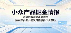小众产品掘金情报:拆解闷声变现优质项目,独立开发者小团队可直接抄作业落地-网创资源