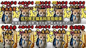 (18595期)百万博主猫系科普视频课:剪映关键帧+抠像+复合片段,新手也能月入过万-网创资源