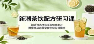 新潮茶饮配方研习课：涵盖台式港式多款饮品配方，附带开店运营全套创业实操指南-网创资源