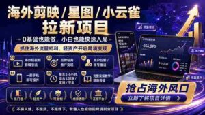 (18567期)海外剪映 / 星图 / 小云雀拉新项目 普通人也能上手的跨境流量变现副业-网创资源