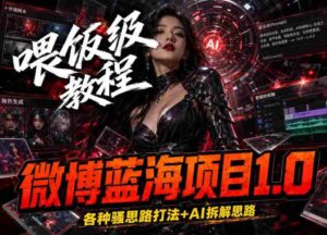 微博蓝海项目1.0_各种Sao操作整理+AI引流拆解,喂饭级教学-网创资源