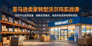 亚马逊卖家转型沃尔玛实战课,深挖平台蓝海流量,破解运营痛点,低成本拓宽跨境增收渠道-网创资源
