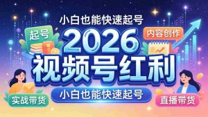 （18222期）2026视频号红利实战营，大佬亲授起号、内容、直播、IP、投流、私域、矩阵全套落地打法-网创资源