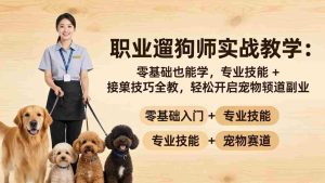 （18115期）职业遛狗师实战教学：零基础也能学，专业技能 + 接单技巧全教，轻松开启宠物赛道副业-网创资源