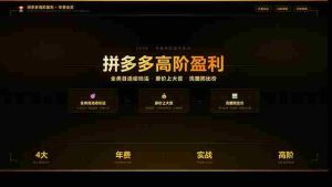 （17848期）拼多多高阶盈利年费会员(更新3月31)：全类目活动玩法、原价上大促、洗图防比价等核心盈利技术-网创资源